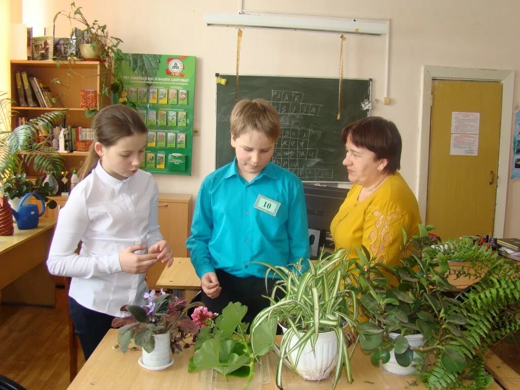 ДЭБЦ Озерск. Растения в школе. Комнатные растения в школе. Конкурс цветоводов.