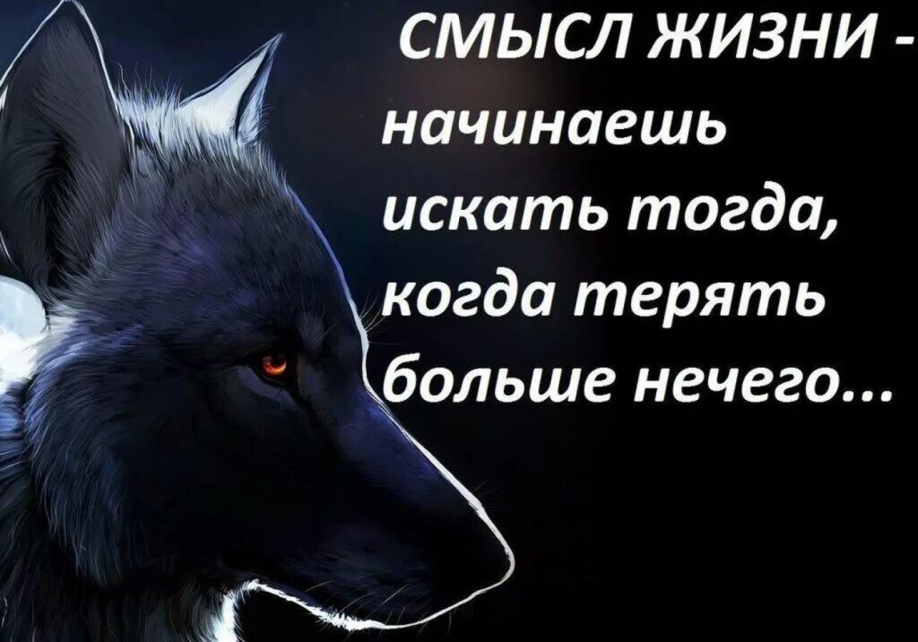 Почему теряешь смысл жить. Когда жизнь потеряла смысл. Смысл потерян. Нет смысла жить цитаты. Нет смысла в жизни картинки.