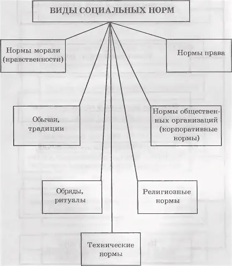 Социальные нормы в системе нормативного регулирования. Система регулирования общественных отношений схема. схемы норм общественных отношений. право в системе нормативного регулирования тгп. социальные нормы схема.