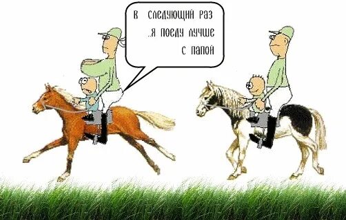 В кон через. Смешные открытки с лошадью. Смешной наездник на лошади. Приколы про верховую езду. Шутки про лошадей.