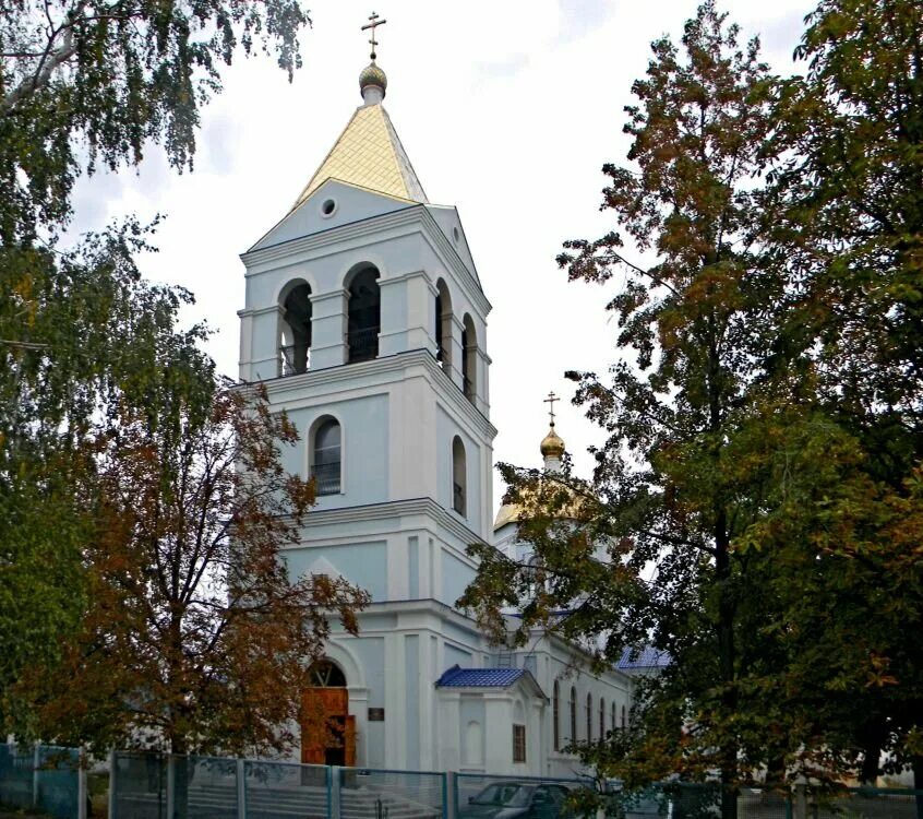 храм казанской иконы божией матери павловск воронежской области. покровский храм павловск воронежская область. село александровка павловский район воронежская область. павловск воронежская область храм. г павловск воронежская область покровская церковь.