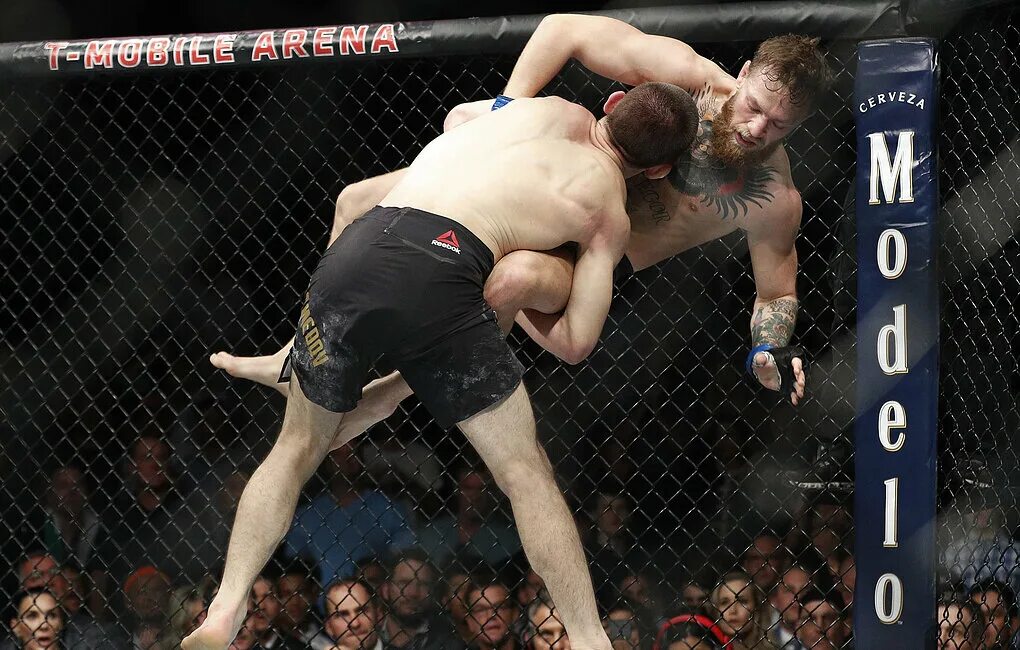 Как делать проход в ноги в ufc. Хабиб нурмагомедов и конор макгрегор. ufc хабиб коннор. хабиб нурмагомедов и конор бой. mma хабиб.