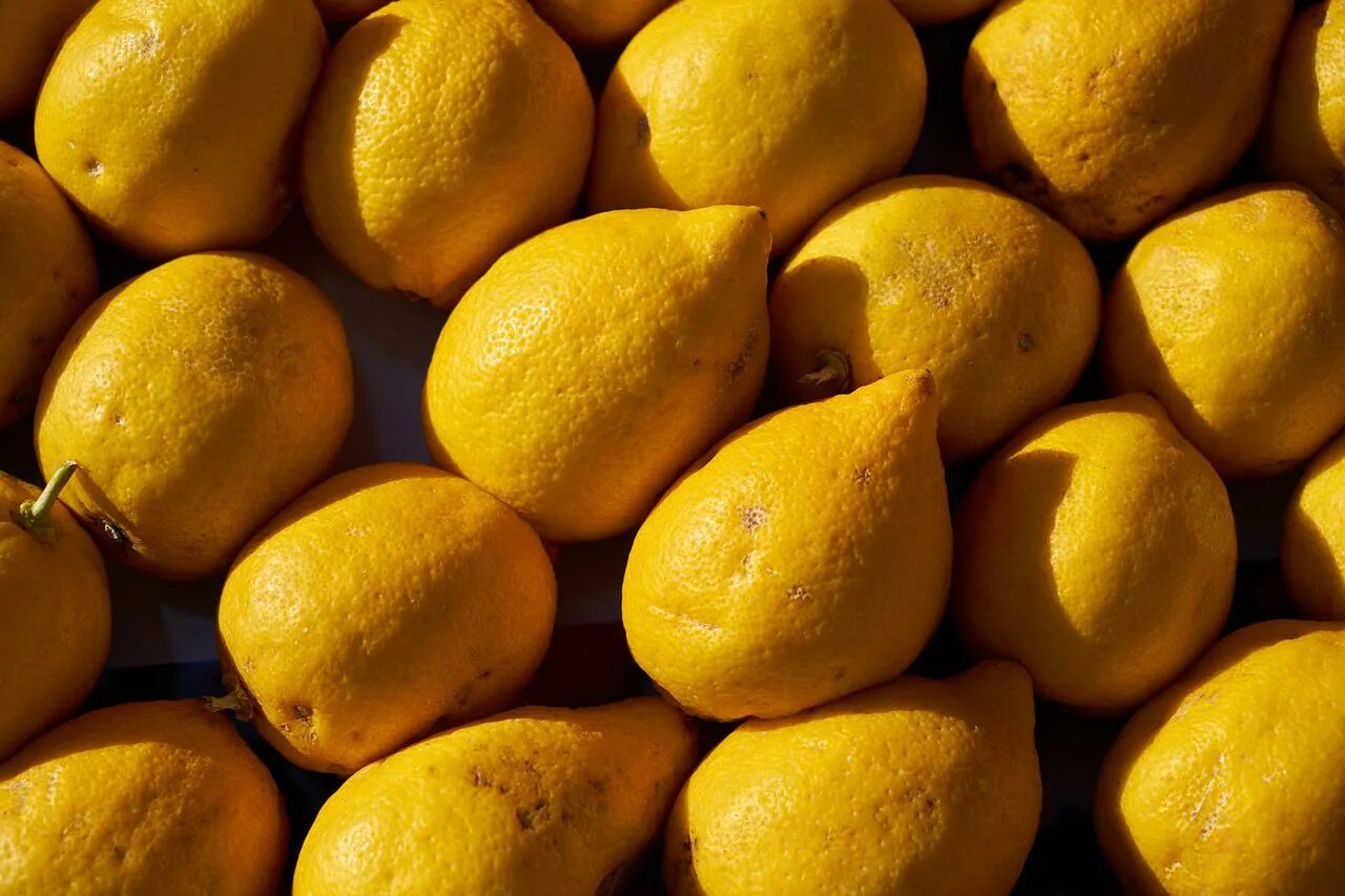 Лимон это овощ или ягода. Желтый фрукт. Маленький желтый фрукт. Желтый экзотический фрукт. Желтый фрукт похожий на грушу.