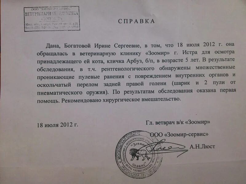 Худ жизнь справок не дает