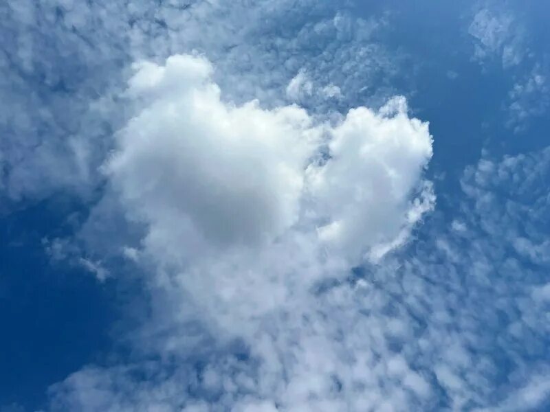 там на небесах. небо в облаках минус. взгляни на небо. взгляни на небо посмотри как плывут облака. облака егоров.