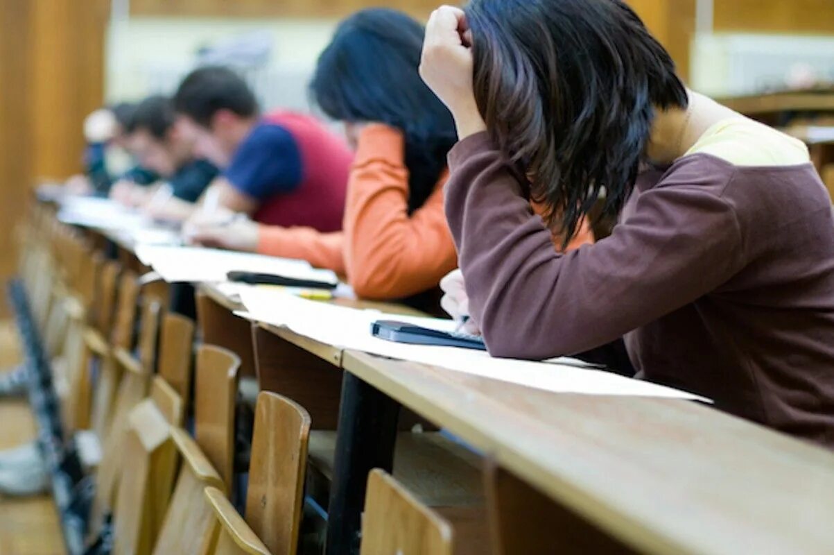 Можно ли преподавать без образования. Можно ли преподавать без образования