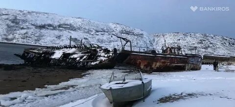 Арктический гектар мурманская область