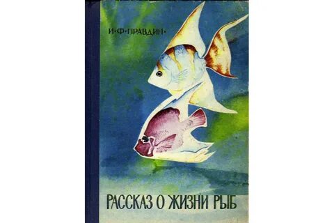 Будет рыба будет жизнь