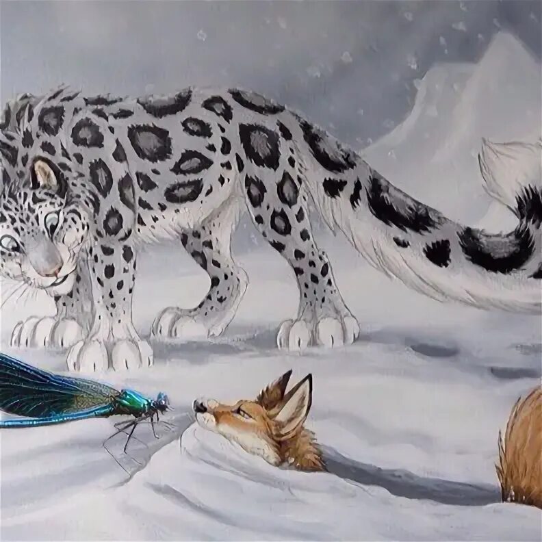 Снежные барсы лисы