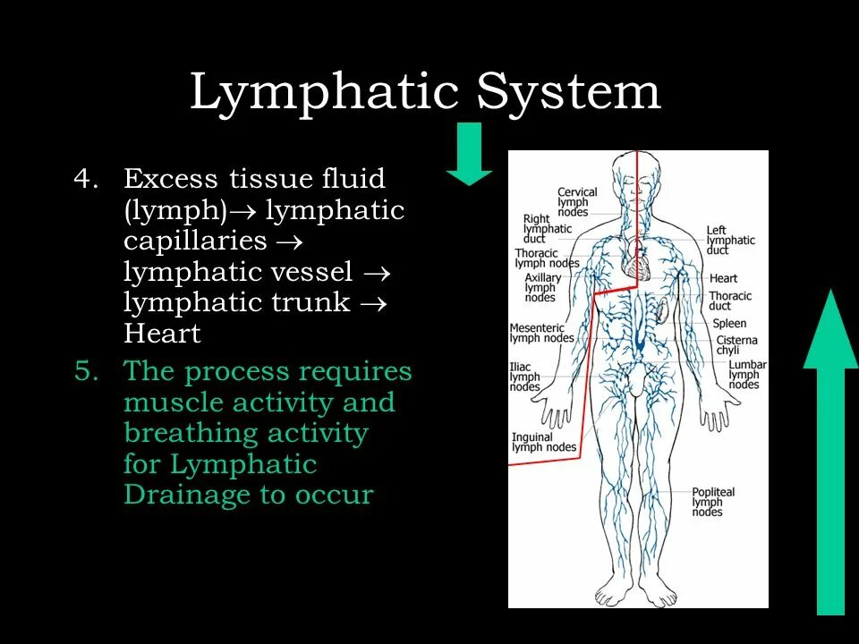 Primary system