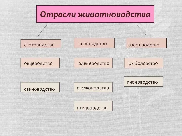Доминирующая отрасль животноводства. Отрасли животноводства. отрасли животноводства схема. пчеловодство отрасль животноводства. оленеводство отрасль животноводства.