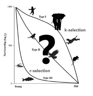 R selected