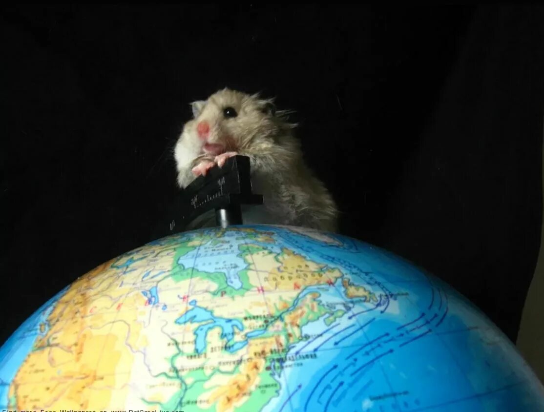 Мир ты сошел с ума. Картинки как сходят с ума. Земля сходит с ума. Каждые 7 секунд один человек сходит с ума. Земля сходит с ума.