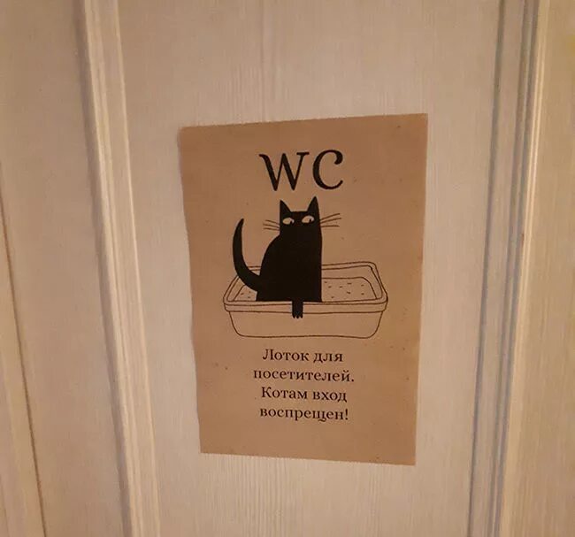 Войти кэт. Табличка для туалета для котов. Кошачий лоток рисунок. Постер в туалет с котиком. Кот с табличкой.