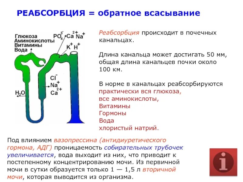 Интенсивное всасывание