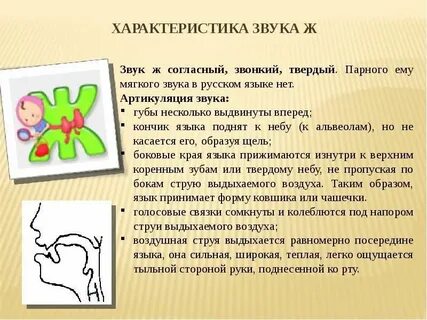 Характеристика согласного звука ж