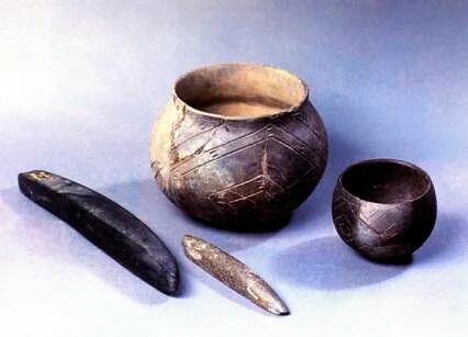 История горшковых