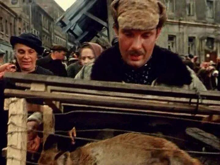 Чёрные пантеры 1995. Испытательный срок нилин радиоспектакль. Испытательный срок фильм. Пантера испытательный срок 2000. Испытательный срок фильм 1960.