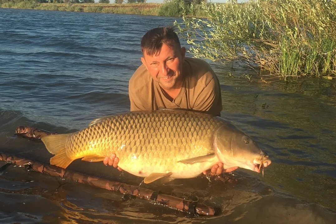 конкуренция юмор. вышивка прикол рыбалка. самые большие уловы. крючком большую рыбу не поймаешь. самый большой улов на удочку.