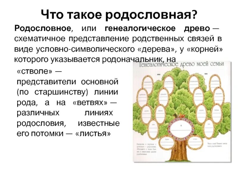 Проект 2 класс семейное древо окружающий мир. Как составить родословную семьи образец 2 класс. Генеалогическое Древо моей семьи. Проект "мое генеологическое Древо. Составление генетического дерева.