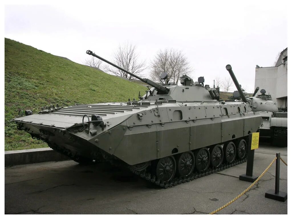 Bmp ms