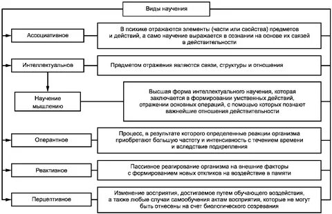 Выберите виды научения