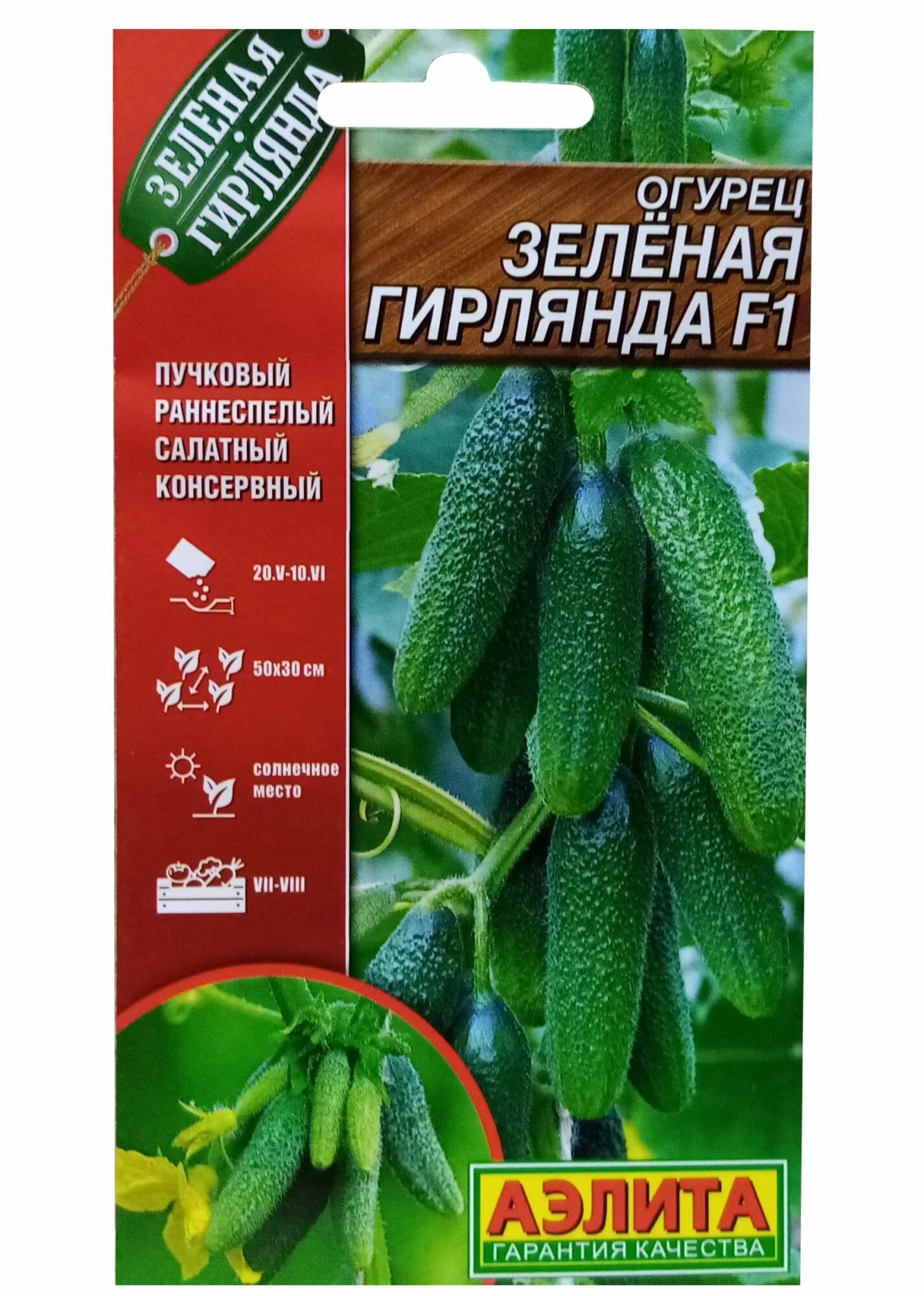 Сибирская гирлянда огурцы - CormanStroy.ru