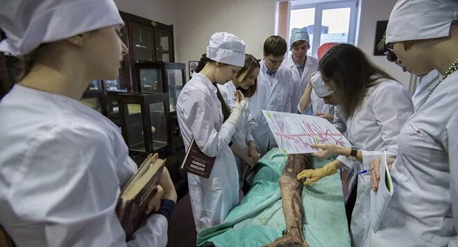 Омгму анатомии. Ярославская медицинская академия. Музей нормальной анатомии симферополь. Преподаватель анатомии в мед. Томский медицинский институт 1968.