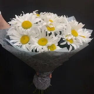 50 ромашек букет