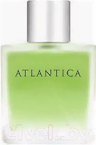 Туалетная вода atlantica. Atlantica парфюм для мужчин. Мужская туалетная вода atlantica. Духи атлантика мужские. Мужская туалетная вода atlantica.