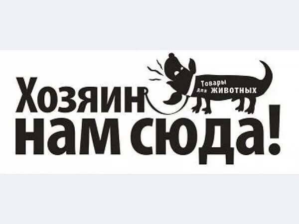 Интернет магазин доставки животных. Товары для животных вывеска. товары для животных реклама. реклама зоомагазина. баннер для магазина зоотоваров.