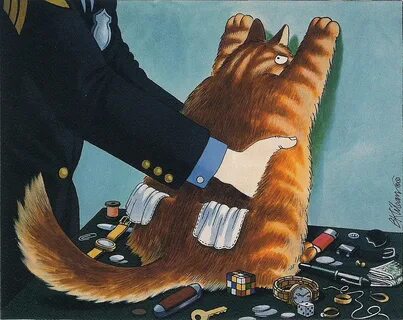 Search cat