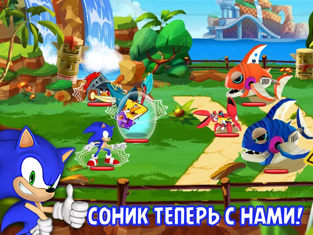 Sonic angry birds. Энгри бердз РПГ. Angry Birds Sonic Dash Epic. Angry Birds Epic Sonic. Sonic игра.