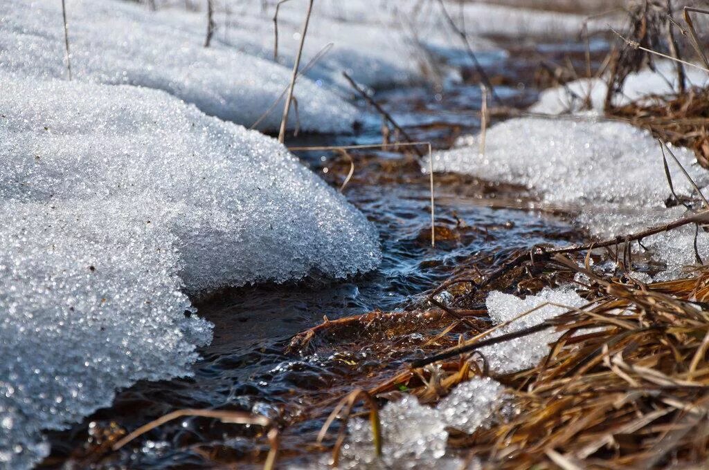 Талые воды весной. Весенние ручьи. Таяние снега. Весенний Ручеек.