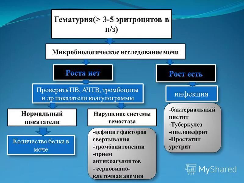 Протеинурия гематурия лейкоцитурия. Гематурия классификация. Гематурия классификация и причины. Классификация макрогематурии. Типы гематурии.