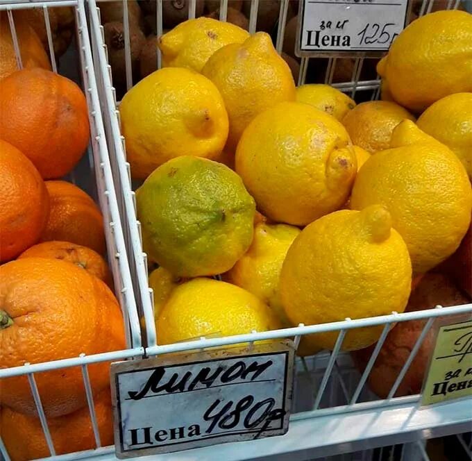 апельсины в израиле. лимоны на прилавке. 5. 5. три дюжины это сколько.