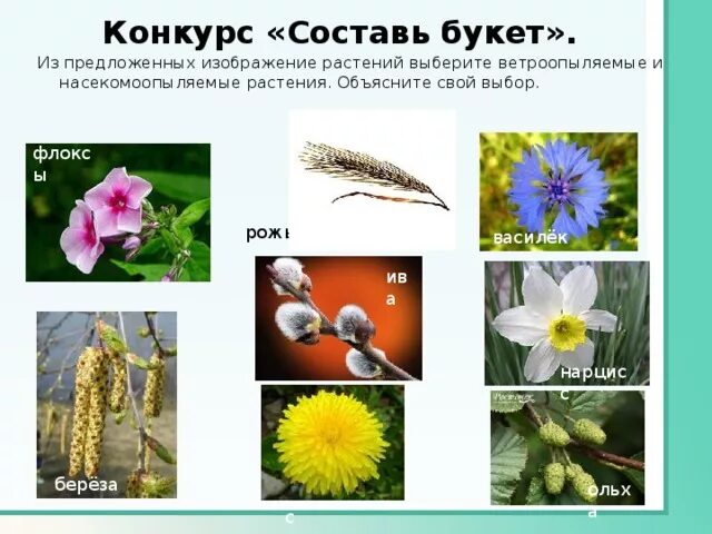 Опыление растений насекомыми это пример фактора Опыления
