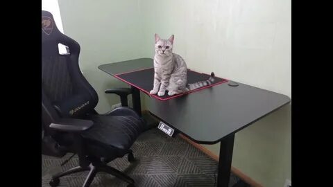Стол ардор