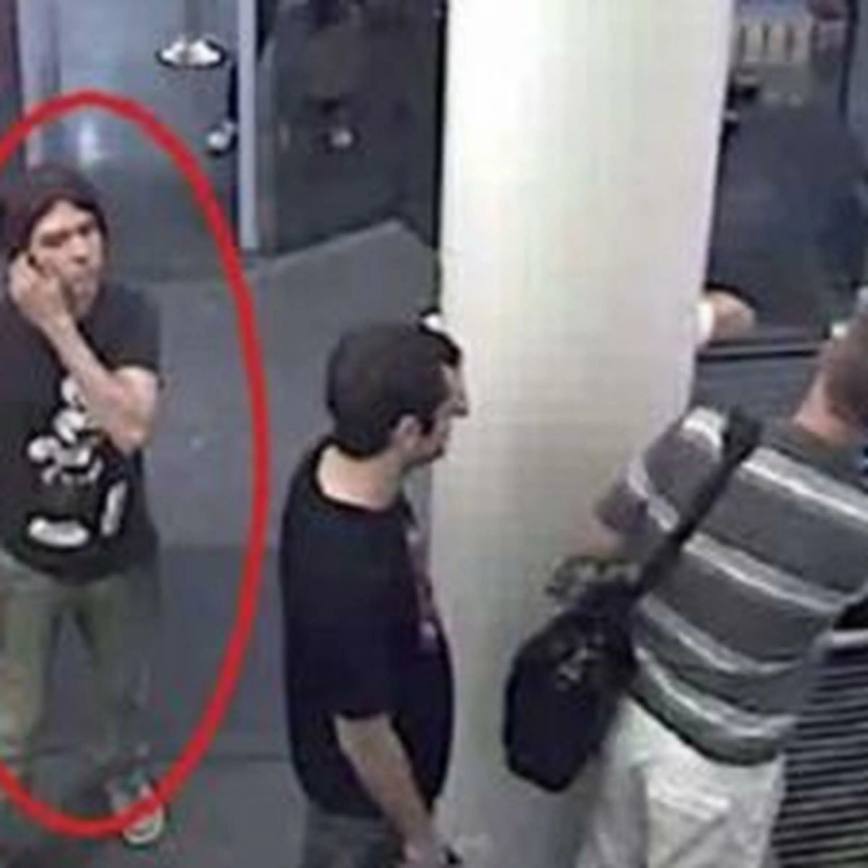 1 boy 2 kittens original