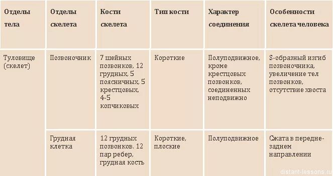 Отделы скелета человека таблица 8 класс биология. Таблица по биологии 8 класс отделы скелета. Таблица отделы тела отделы скелета кости скелета по биологии 8. Таблица скелет человека биология 8 класс.