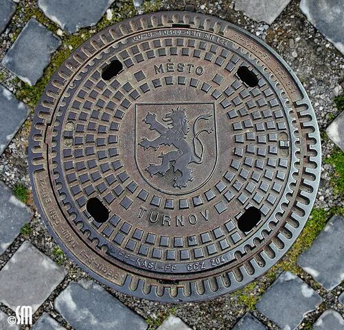 Лев люк. День рождения льва в африке. Лев портрет. Лев люк. Лукас лев.