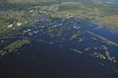 Амур в 2013 году