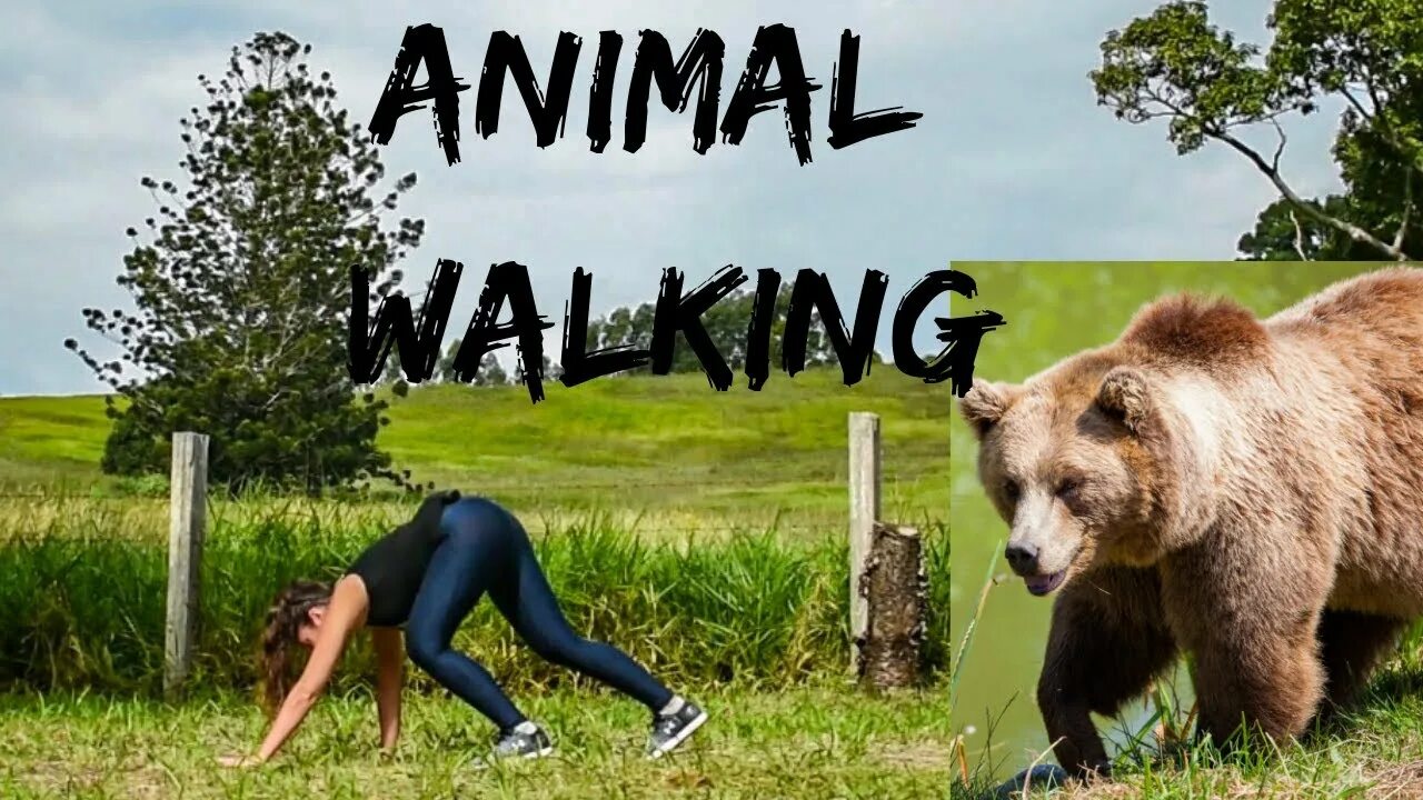 Анимал flow. Энимал флоу упражнения. Animal flow тренировка. Анимал флоу тренировки. Animal flow.