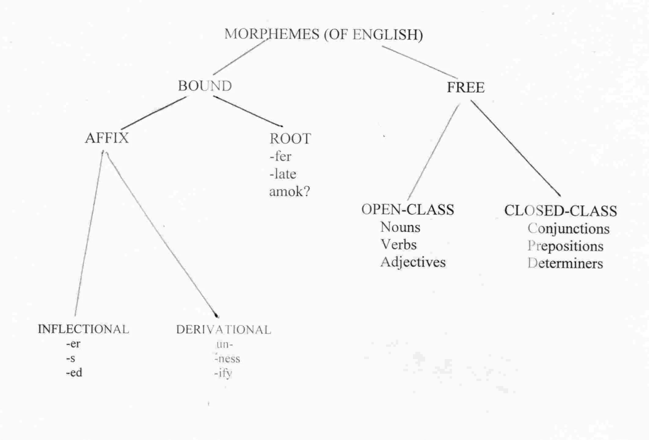 Язык фонема морфема. Morpheme. Morphemes in English. Types of grammatical Morphemes. Root Morphemes.