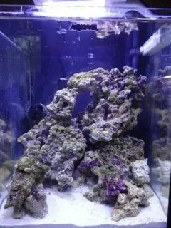 Морской аквариум 30