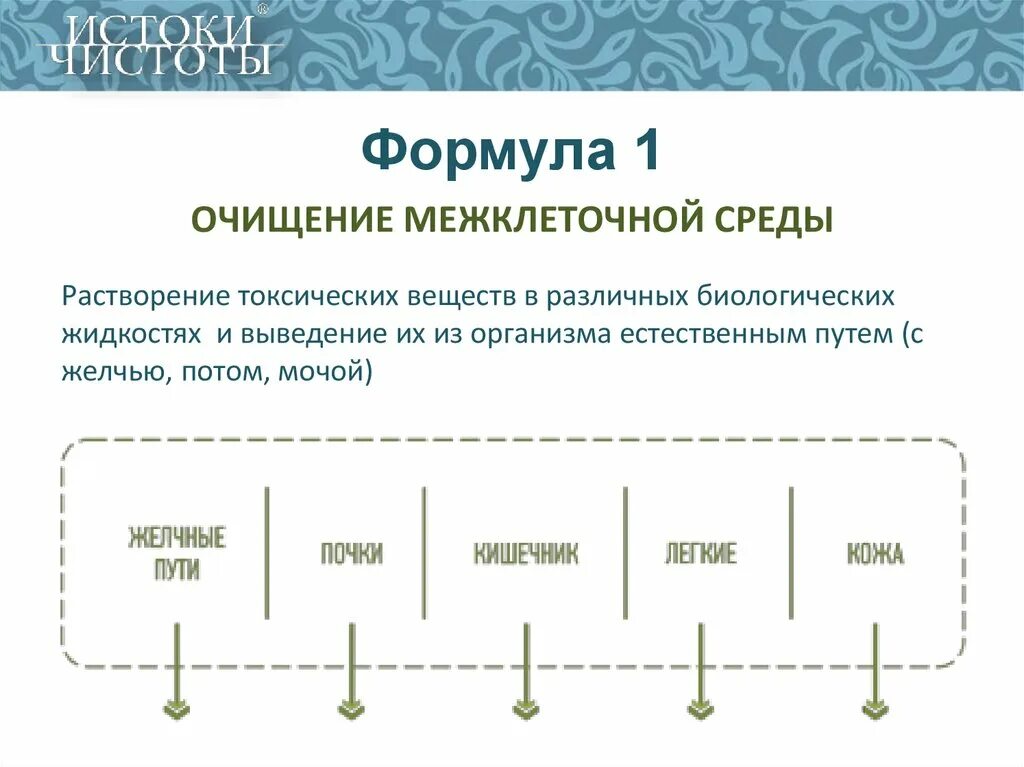 Истоки Сибирское здоровье. Истоки чистоты Сибирское здоровье. Очищение организма Сибирское здоровье. Сибирское здоровье очищение энергия Гармония. Формула очищения отзывы