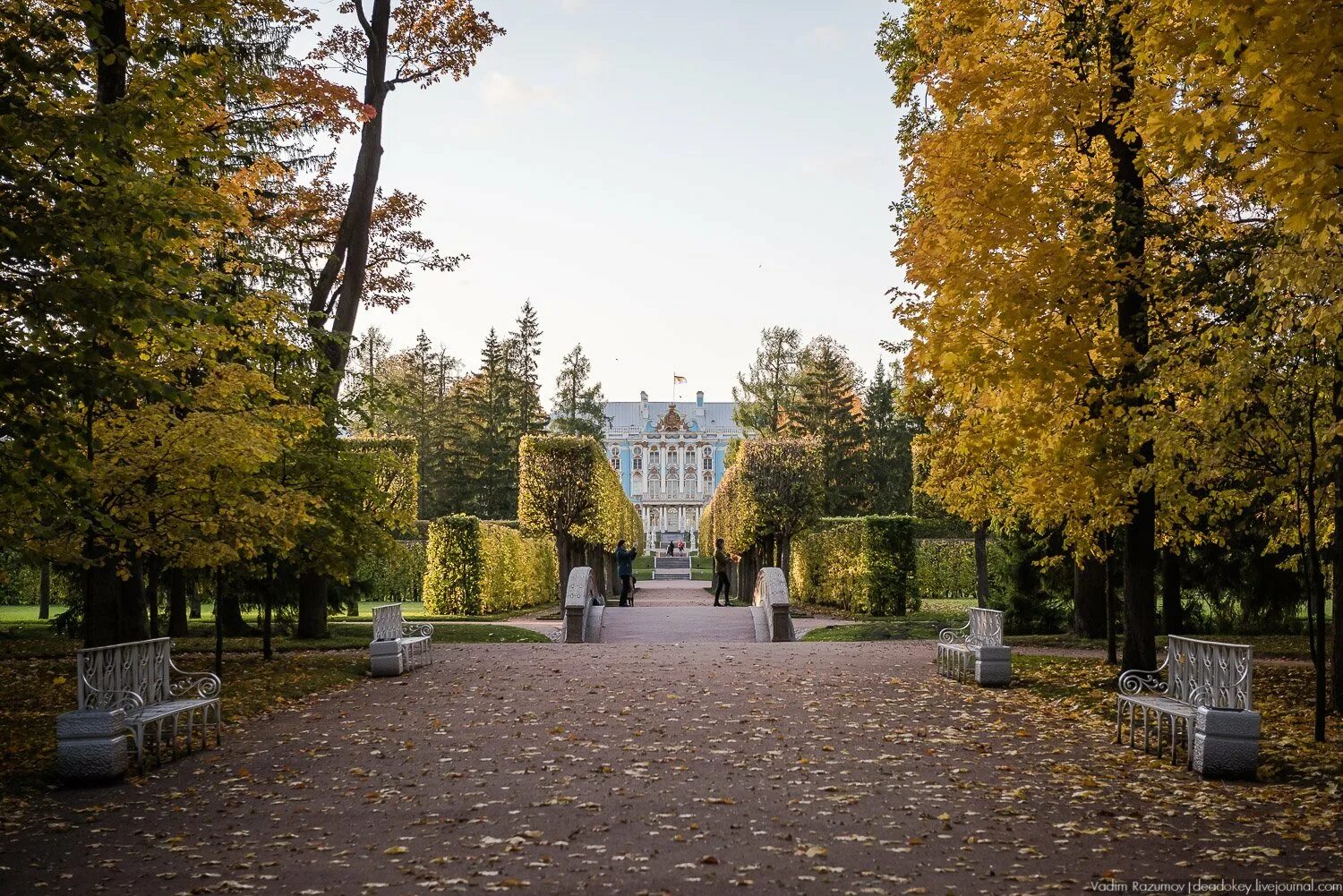 Села пушкин. Усадьба пушкина псковская область. Село михайловское усадьба пушкина. Екатерининский парк осенью в царском селе. Пушкин пушкинские горы михайловское.