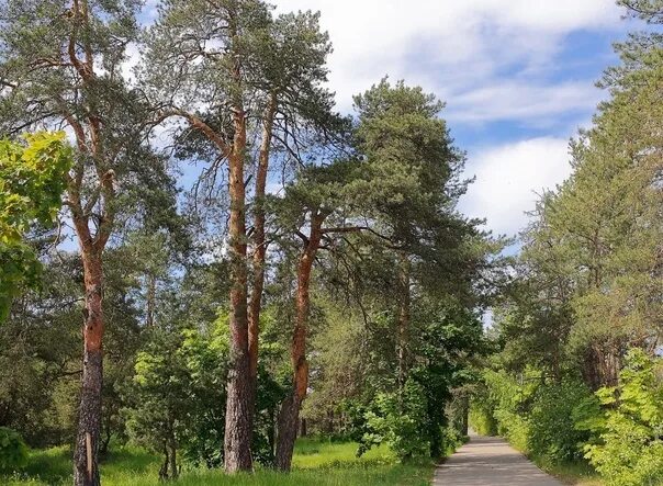 Загородный парк владимир - блог Санатории Кавказа