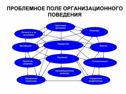 Поле проблем проекта