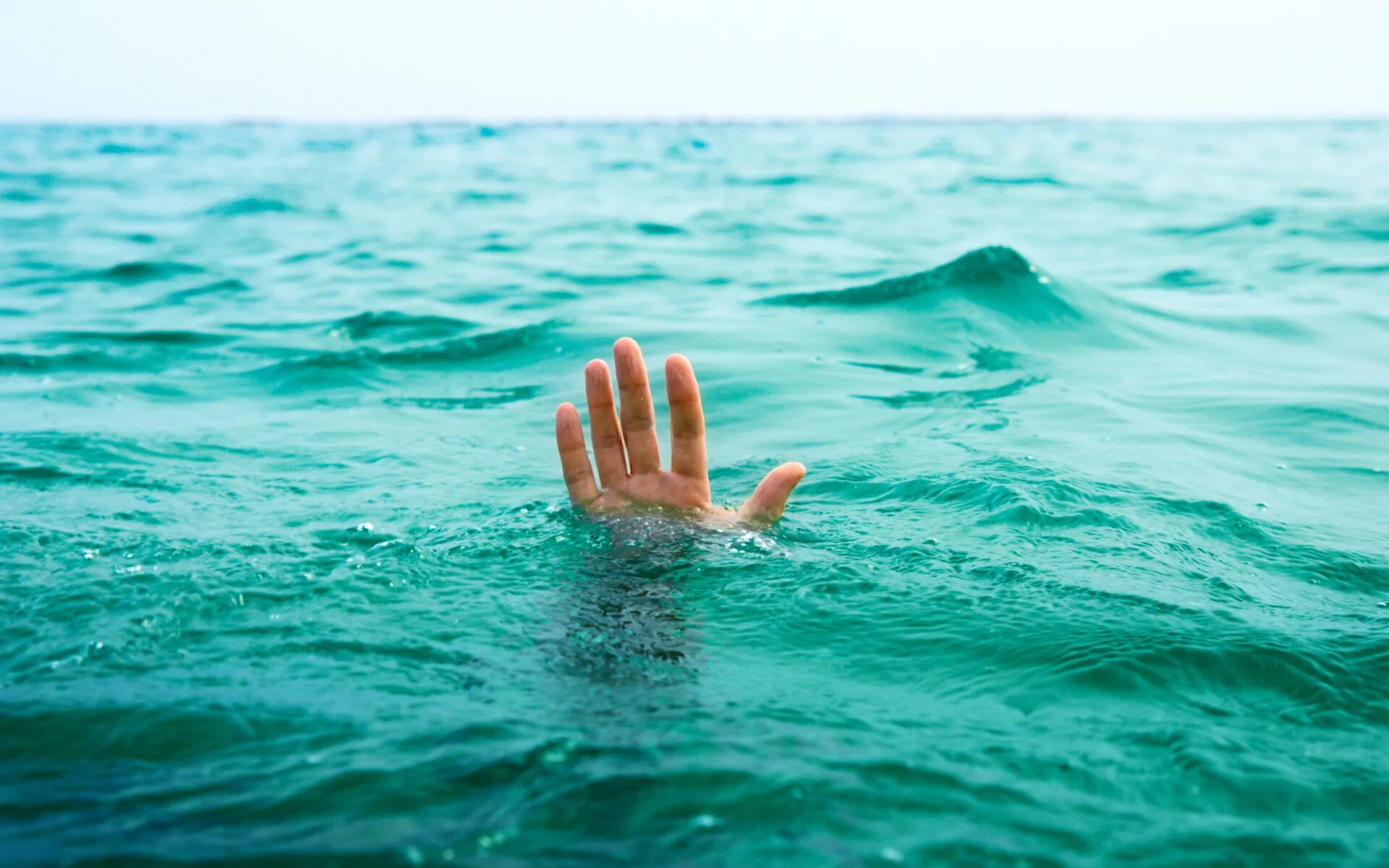Песня вижу море под собой. Песня вижу море под собой